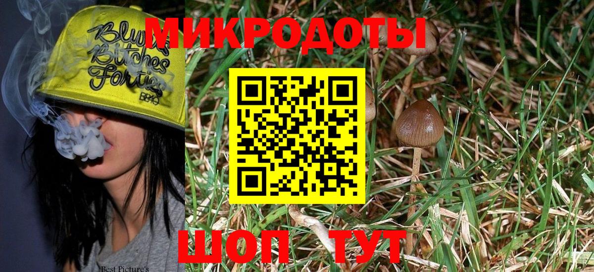 Псилоцибиновые грибы Psilocybe Отрадный